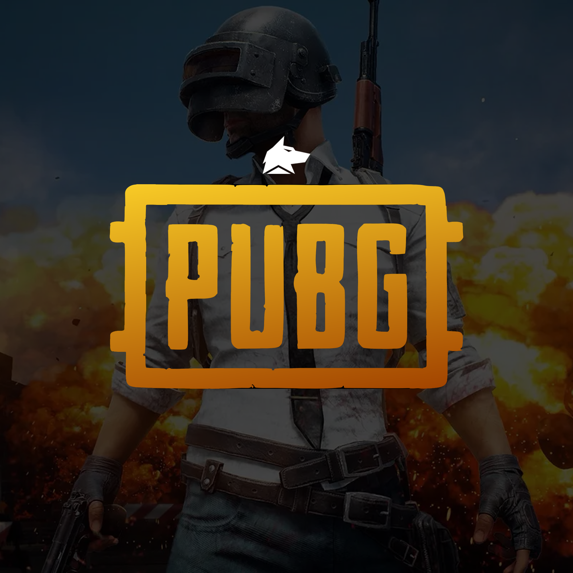Fecurity PUBG Cheat Advanced Visuals and No Recoil Fecurity PUBG Cheat Advanced Visuals and No Recoil
